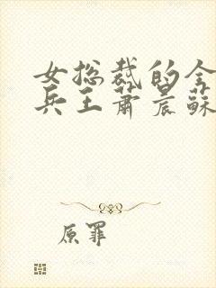 女总裁的全能型兵王萧晨苏晴