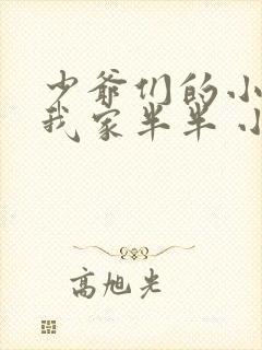 少爷们的小女仆我家半半 小说