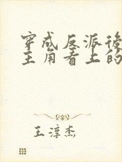 穿成反派后被男主角看上的小说