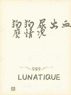 狗狗尿出血是什么情况