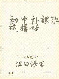 初中补课班哪家机构好