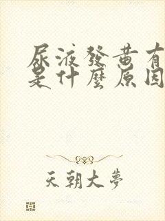 尿液发黄有骚味是什么原因