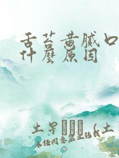 舌苔黄腻口干是什么原因