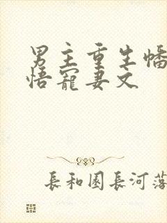 男主重生幡然醒悟宠妻文