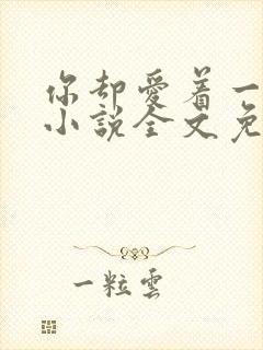 你却爱着一个他小说全文免费阅读