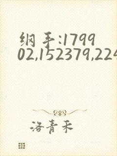 纲手:179902,152379,224503