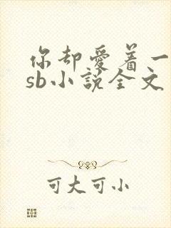 你却爱着一个他sb小说全文免费阅读