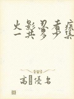 火影忍者疾风传一共多少集