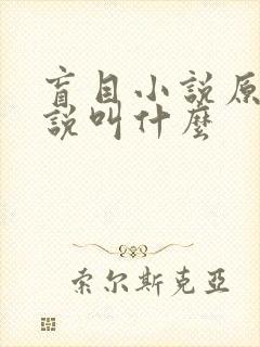 盲目小说原著小说叫什么