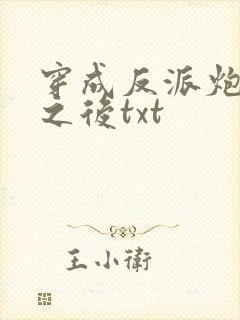 穿成反派炮灰攻之后txt