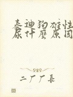 泰迪狗雄性尿血尿什么原因