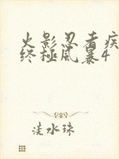 火影忍者疾风传终极风暴4