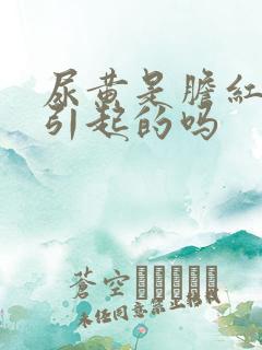 尿黄是胆红素高引起的吗