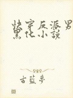 快穿反派男神别黑化小说