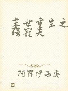 末世重生之军少强宠夫