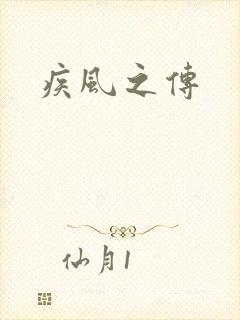 疾风之传