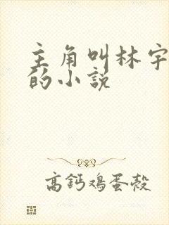 主角叫林宇都市的小说