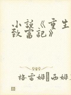 小说《重生八零致富记》