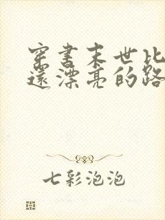 穿书末世比女主还漂亮的路人甲小说