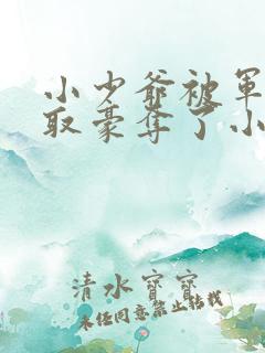 小少爷被军阀强取豪夺了小说阅读