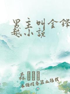 男主叫金锋的穿越小说