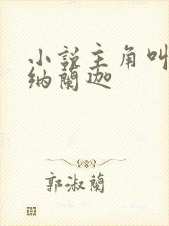 小说主角叫叶观纳兰迦