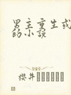 男主重生或穿越的小说