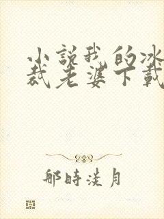 小说我的冰山总裁老婆下载