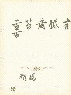 舌苔黄腻有齿痕舌