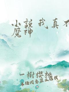 小说 我真不是魔神