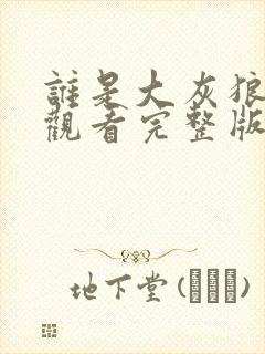 谁是大灰狼免费观看完整版在线全集