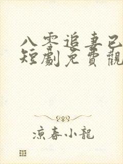 八零追妻已太迟短剧免费观看全集