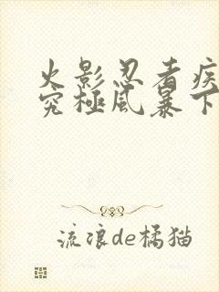 火影忍者疾风传究极风暴下载