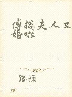 傅总夫人又闹离婚啦