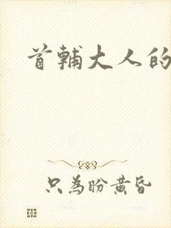 首辅大人的套路