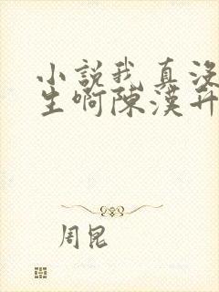 小说我真没想重生啊陈汉升阅读