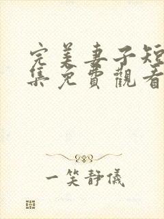 完美妻子短剧全集免费观看高清