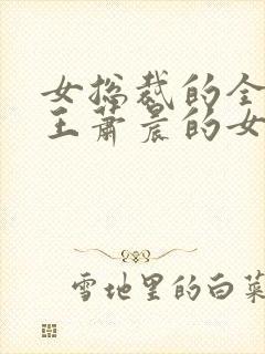 女总裁的全能兵王萧晨的女人