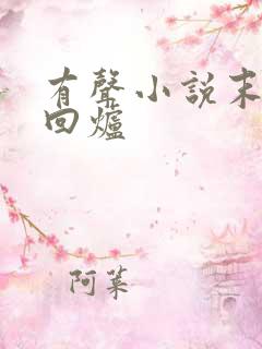 有声小说末世大回炉