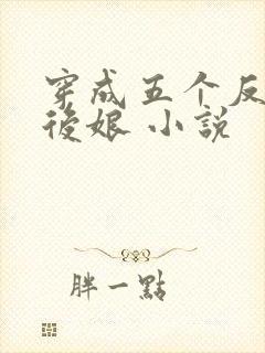 穿成五个反派的后娘 小说