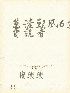 万渣朝凰6季免费观看