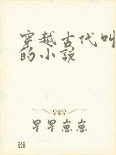 穿越古代叫宁宸的小说