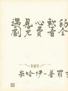 遇见心软的神短剧免费看全集