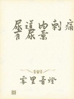 尿道内刺痛一直有尿意