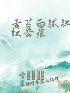 舌苔白腻胖大裂纹齿痕