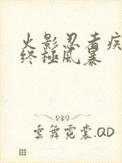 火影忍者疾风传终极风暴