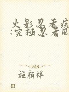 火影忍者疾风传:究极忍者风暴3