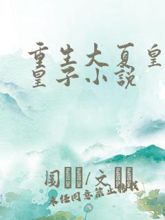 重生大夏皇朝六皇子小说