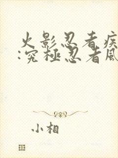 火影忍者疾风传:究极忍者风暴2