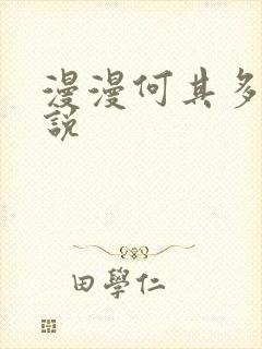 漫漫何其多的小说